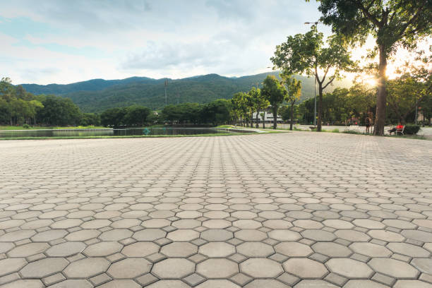 Best Driveway Paver Repair  in New Providence, NJ